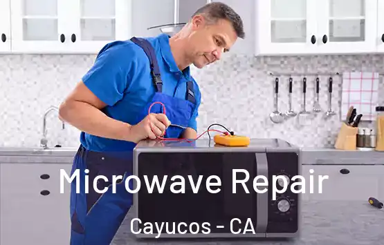  Microwave Repair Cayucos - CA
