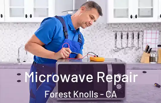  Microwave Repair Forest Knolls - CA