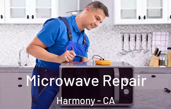  Microwave Repair Harmony - CA