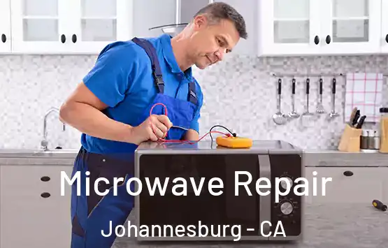  Microwave Repair Johannesburg - CA