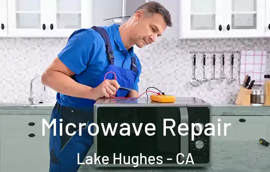  Microwave Repair Lake Hughes - CA
