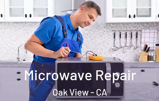  Microwave Repair Oak View - CA