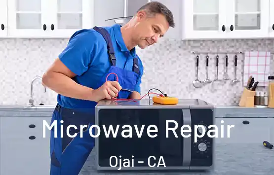  Microwave Repair Ojai - CA