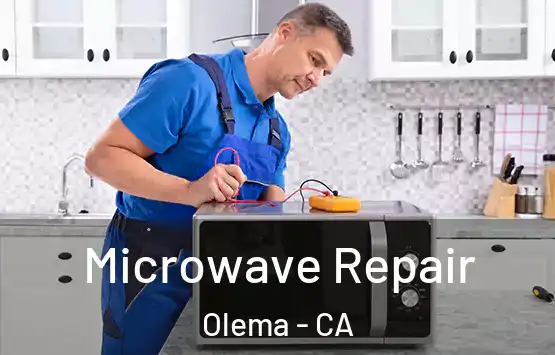  Microwave Repair Olema - CA