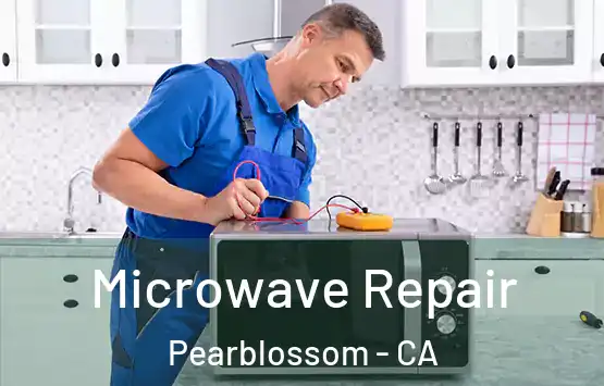 Microwave Repair Pearblossom - CA