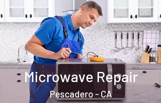  Microwave Repair Pescadero - CA