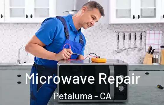  Microwave Repair Petaluma - CA