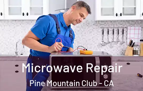  Microwave Repair Pine Mountain Club - CA