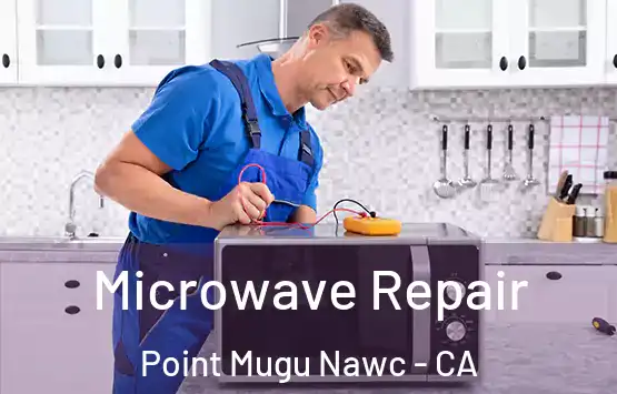  Microwave Repair Point Mugu Nawc - CA