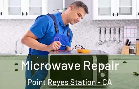  Microwave Repair Point Reyes Station - CA