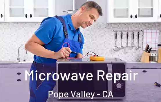  Microwave Repair Pope Valley - CA
