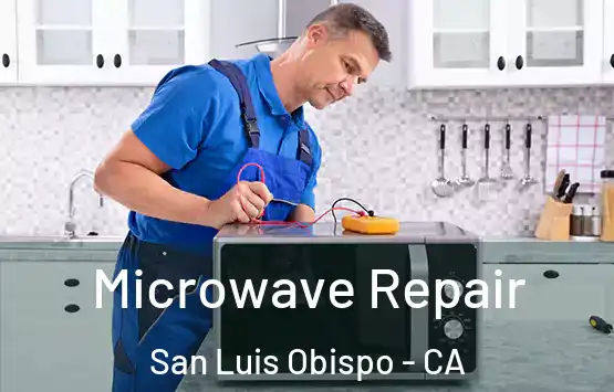  Microwave Repair San Luis Obispo - CA