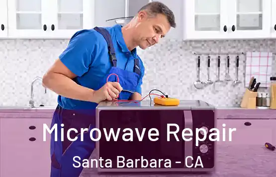  Microwave Repair Santa Barbara - CA