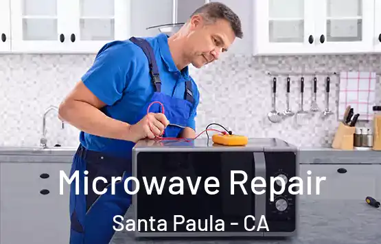  Microwave Repair Santa Paula - CA