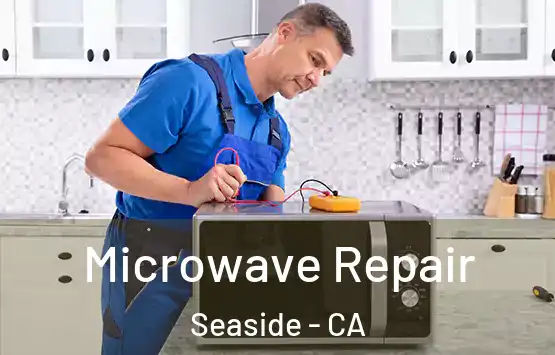  Microwave Repair Seaside - CA