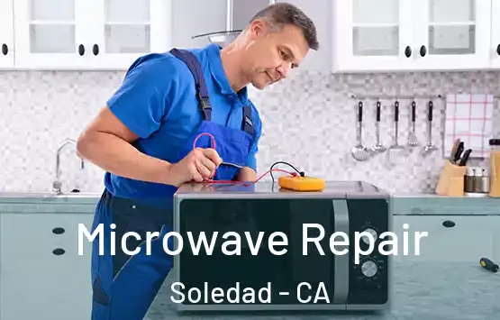  Microwave Repair Soledad - CA