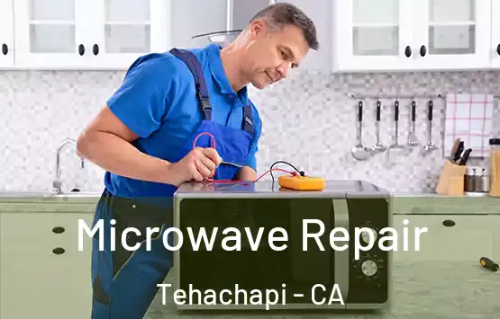  Microwave Repair Tehachapi - CA