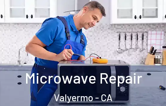  Microwave Repair Valyermo - CA