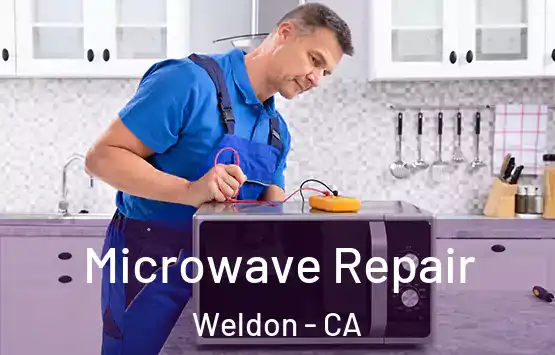  Microwave Repair Weldon - CA