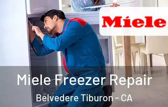  Miele Freezer Repair Belvedere Tiburon - CA
