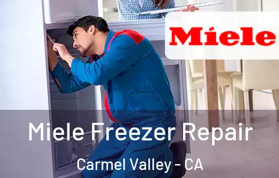 Miele Freezer Repair Carmel Valley - CA
