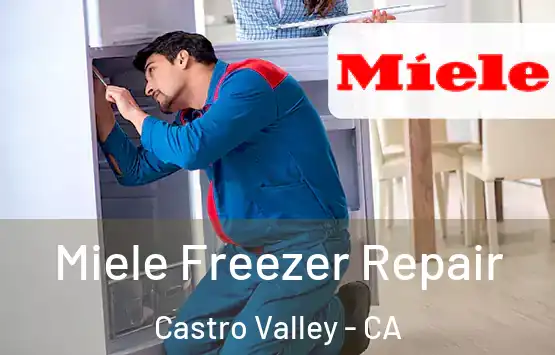 Miele Freezer Repair Castro Valley - CA