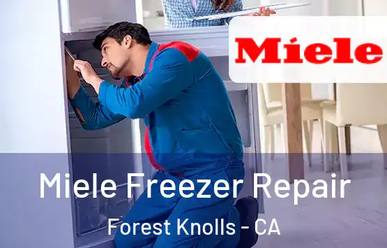  Miele Freezer Repair Forest Knolls - CA