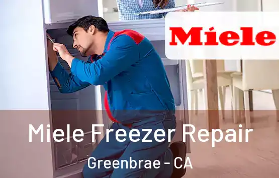  Miele Freezer Repair Greenbrae - CA