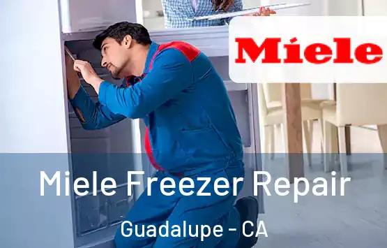  Miele Freezer Repair Guadalupe - CA