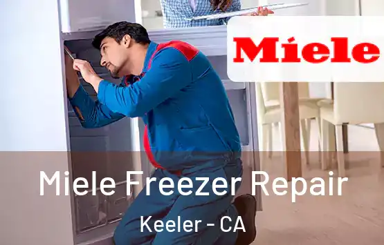  Miele Freezer Repair Keeler - CA
