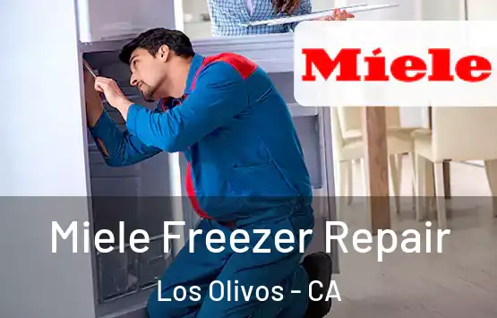  Miele Freezer Repair Los Olivos - CA