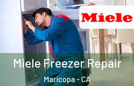  Miele Freezer Repair Maricopa - CA