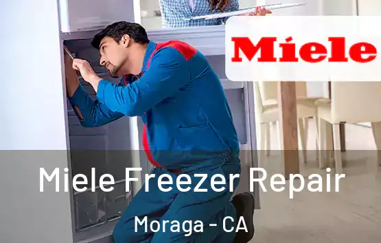  Miele Freezer Repair Moraga - CA
