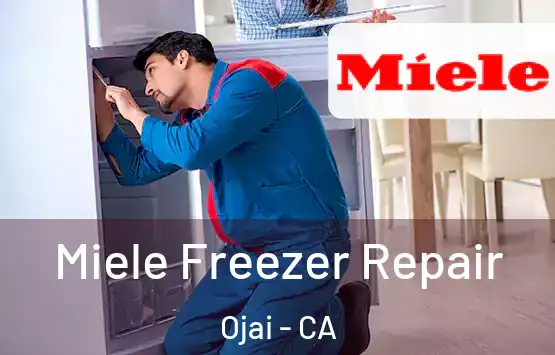  Miele Freezer Repair Ojai - CA