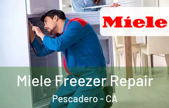  Miele Freezer Repair Pescadero - CA