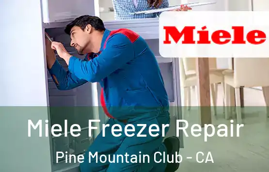  Miele Freezer Repair Pine Mountain Club - CA