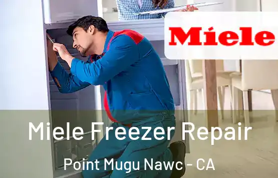 Miele Freezer Repair Point Mugu Nawc - CA