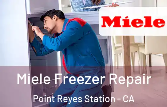  Miele Freezer Repair Point Reyes Station - CA