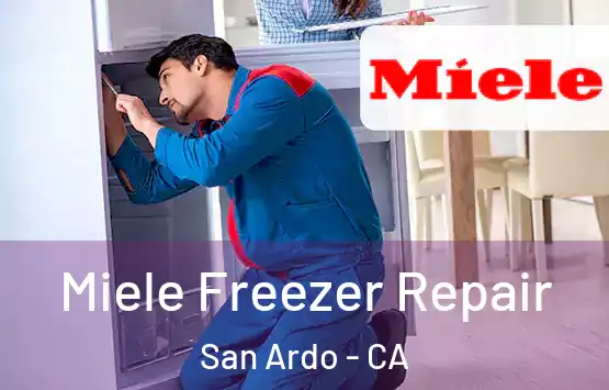  Miele Freezer Repair San Ardo - CA