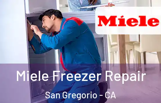  Miele Freezer Repair San Gregorio - CA