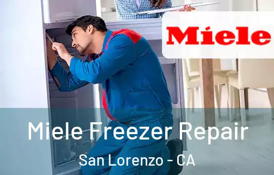  Miele Freezer Repair San Lorenzo - CA