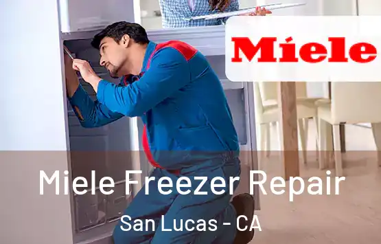  Miele Freezer Repair San Lucas - CA