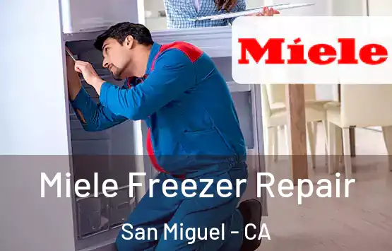  Miele Freezer Repair San Miguel - CA