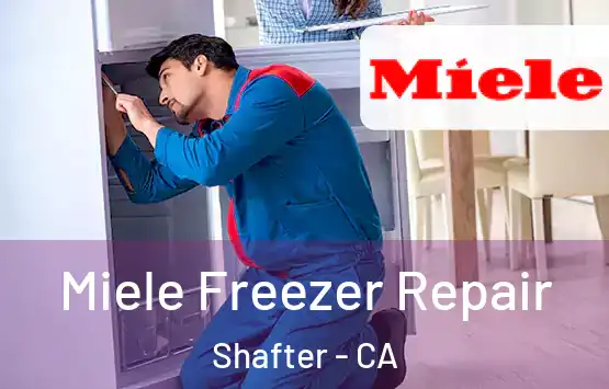  Miele Freezer Repair Shafter - CA