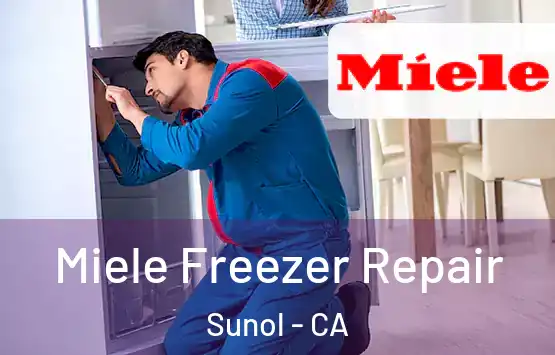  Miele Freezer Repair Sunol - CA