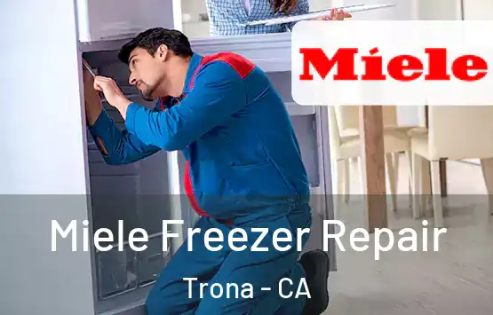  Miele Freezer Repair Trona - CA