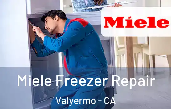  Miele Freezer Repair Valyermo - CA