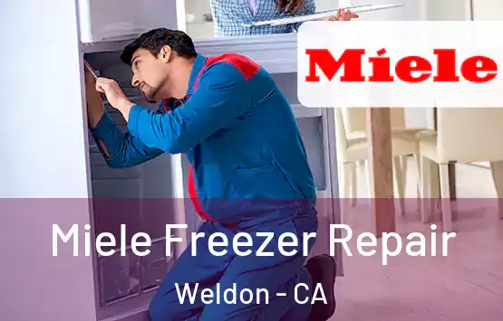  Miele Freezer Repair Weldon - CA
