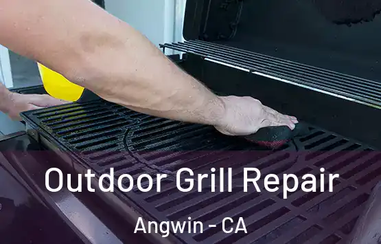  Outdoor Grill Repair Angwin - CA