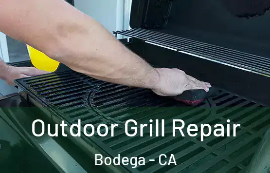  Outdoor Grill Repair Bodega - CA